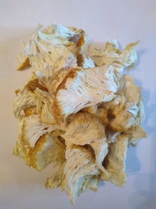 Dried Lion's Mane Mushrooms (Hericium erinaceus) Wholesale - Bristol Mushrooms