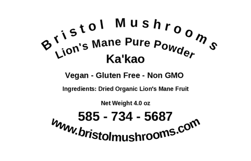 Lion's Mane Pure Powder Kakao 4oz - Bristol Mushrooms